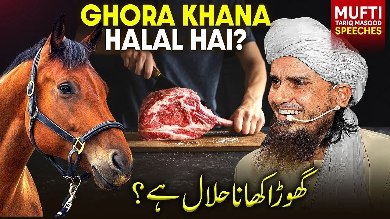 Kya Ghore Ka Gosht Khana Halal Hai  | Mufti Tariq Masood Speeches